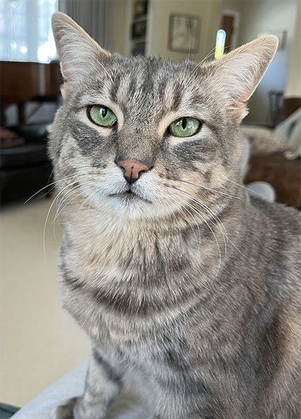 Mortimer portrait in living room